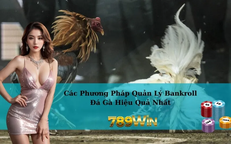 Các Phương Pháp Quản Lý Bankroll Đá Gà Hiệu Quả Nhất