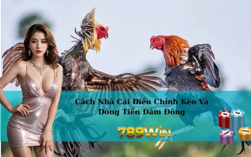 Cách Nhà Cái Điều Chỉnh Kèo Và Dòng Tiền Đám Đông