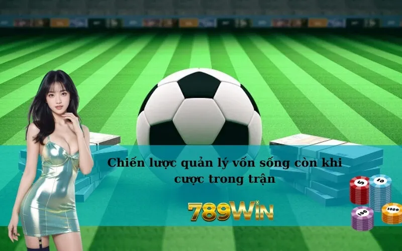 Chiến lược quản lý vốn sống còn khi cược trong trận