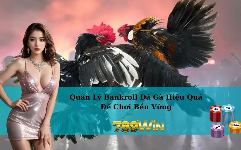 Quản Lý Bankroll Đá Gà Hiệu Quả Để Chơi Bền Vững
