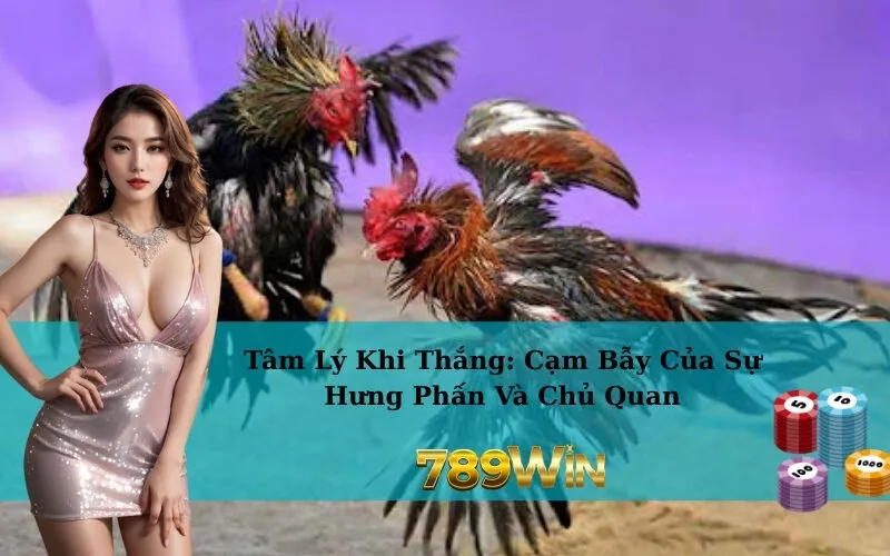 Tâm Lý Khi Thắng: Cạm Bẫy Của Sự Hưng Phấn Và Chủ Quan