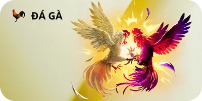đá gà 789Win